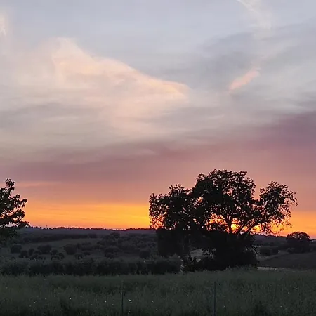 וילה Kallithea Eco-village Kallithea (Chalkidiki)