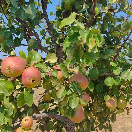 Kallithea Eco-village *