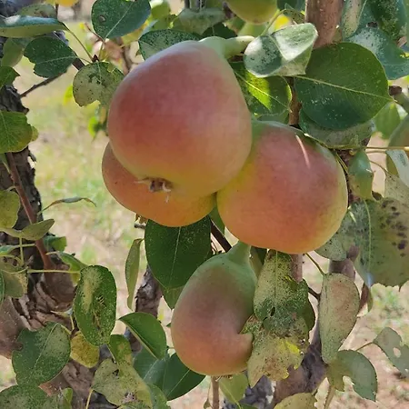 וילה Kallithea Eco-village