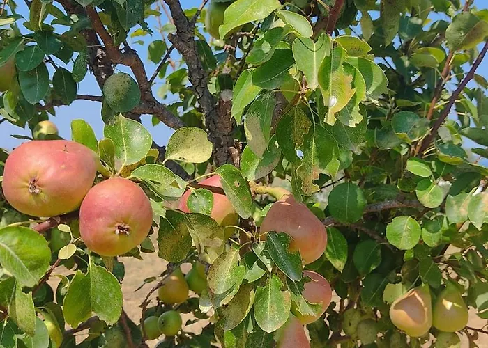 Kallithea Eco-village *